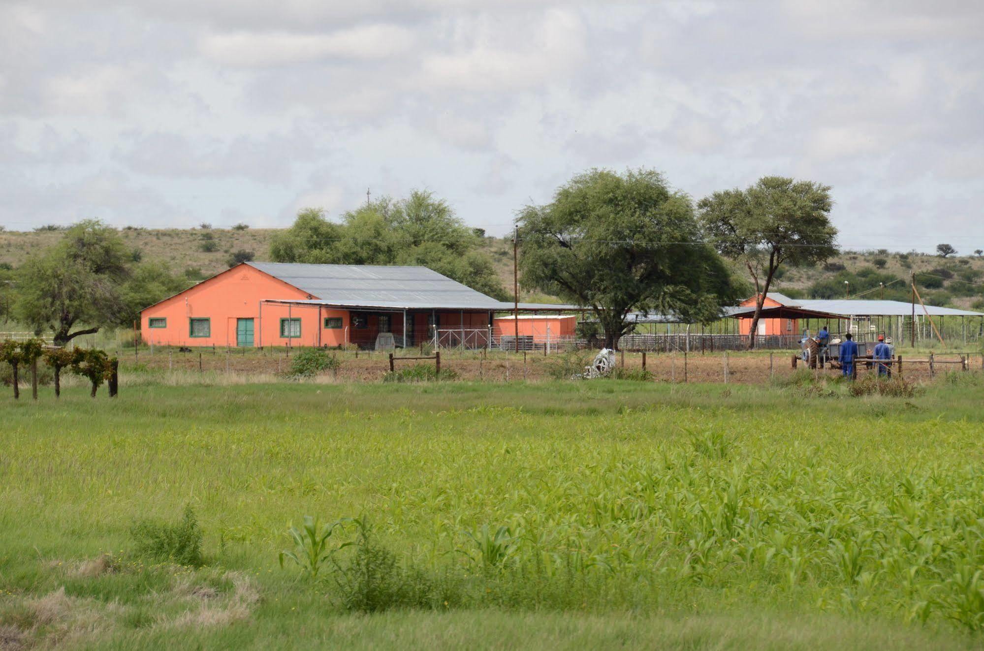 Kalahari Farmhouse, Namibia Mariental Buitenkant foto